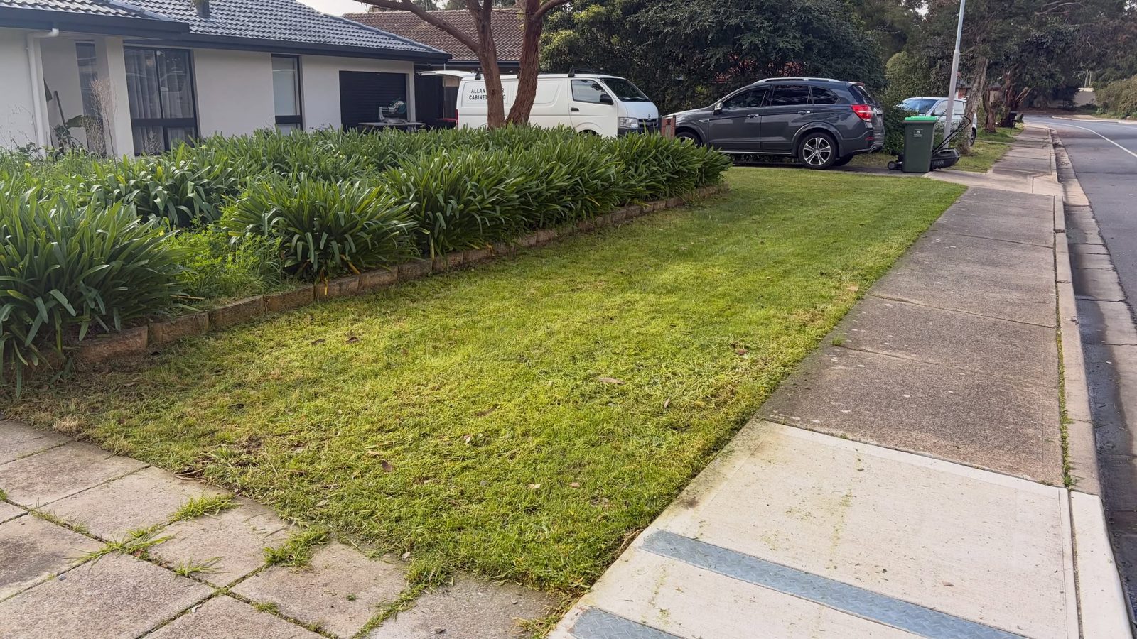 The same verge mowed short with a clean edge along the footpath and the agapanthus bed tidied